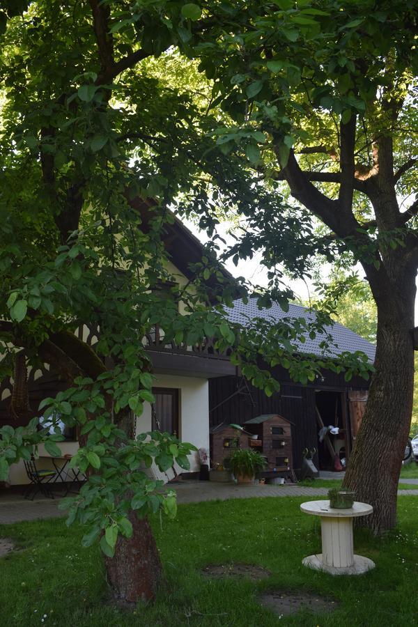 Gaestehaus Bohg Бург Экстерьер фото